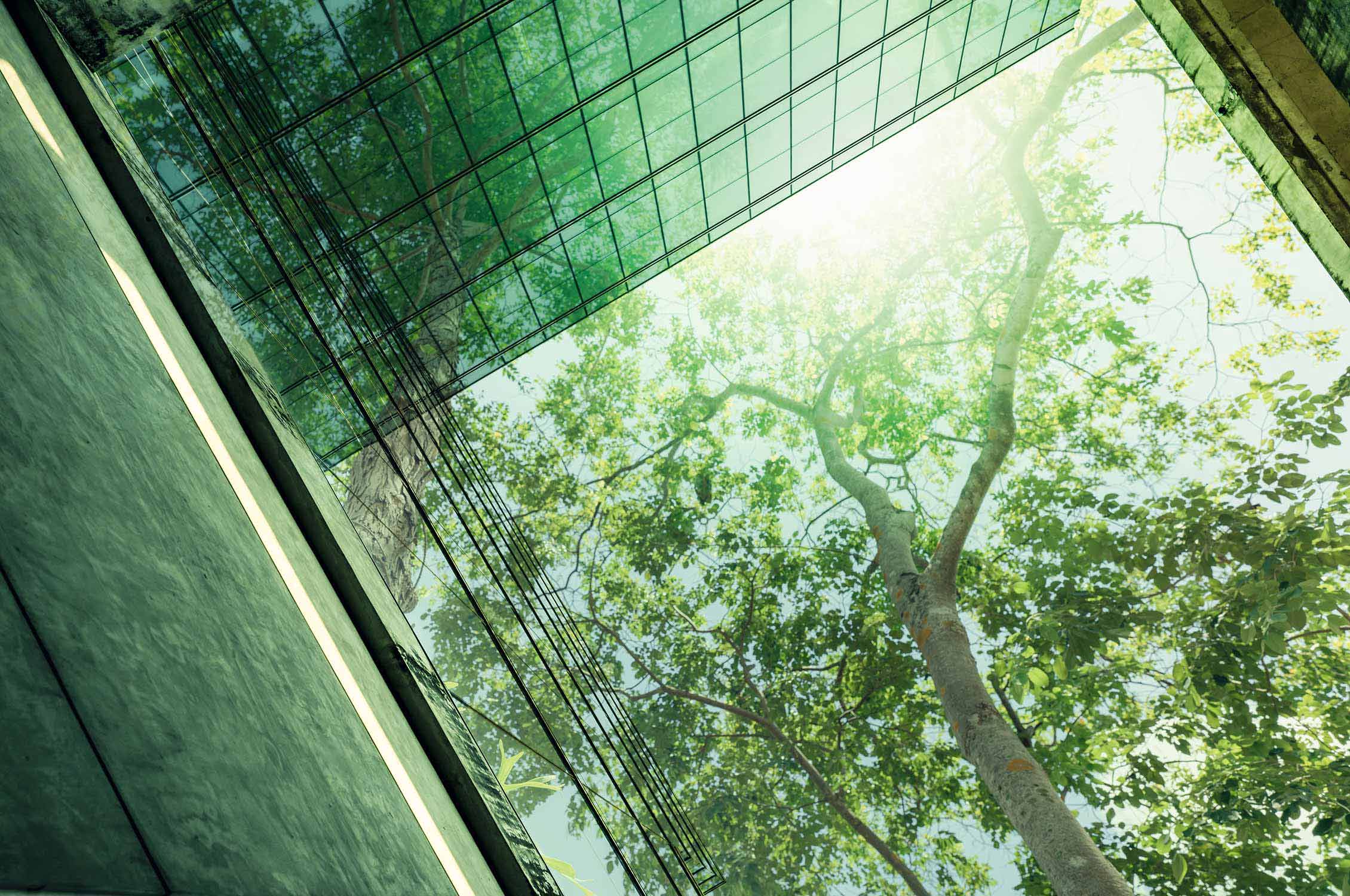 Sustainable green building. Eco-friendly building in modern city.